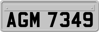 AGM7349