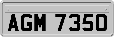 AGM7350