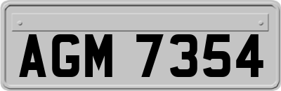 AGM7354