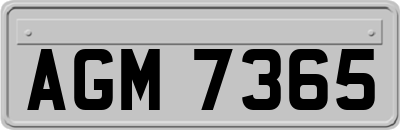 AGM7365