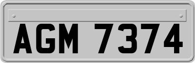 AGM7374