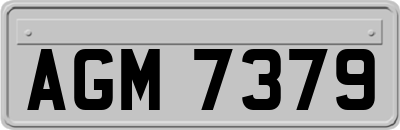 AGM7379