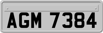 AGM7384