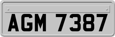 AGM7387