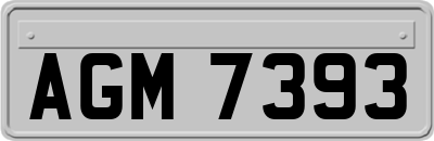 AGM7393