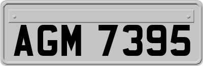 AGM7395