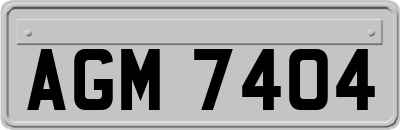 AGM7404