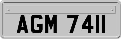 AGM7411