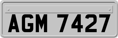AGM7427