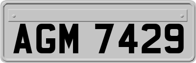 AGM7429