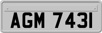 AGM7431