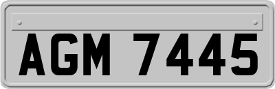 AGM7445