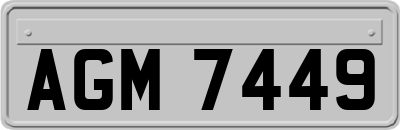 AGM7449
