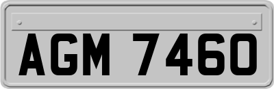 AGM7460