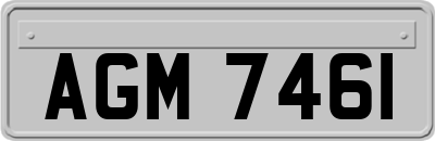 AGM7461