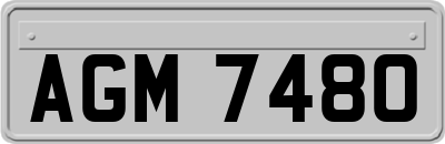 AGM7480