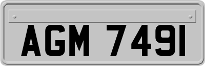 AGM7491
