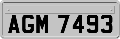 AGM7493