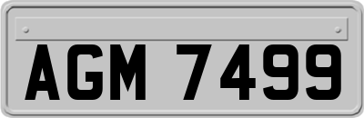 AGM7499
