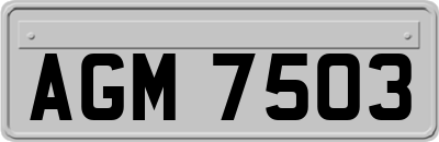 AGM7503