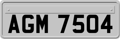 AGM7504