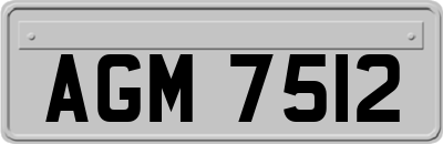 AGM7512