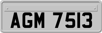 AGM7513