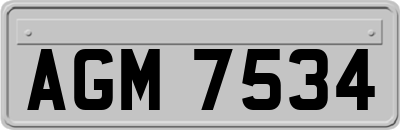 AGM7534