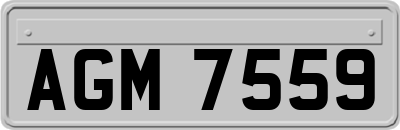 AGM7559