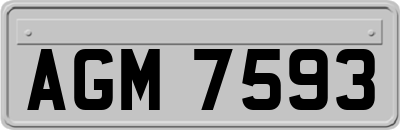 AGM7593