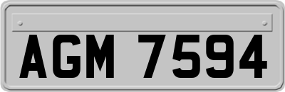 AGM7594