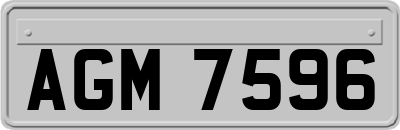 AGM7596