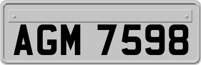 AGM7598