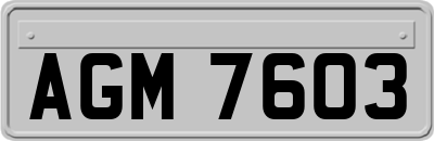 AGM7603