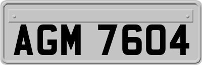 AGM7604