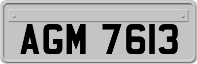 AGM7613