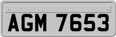 AGM7653