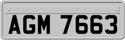 AGM7663