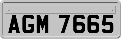 AGM7665