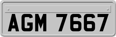 AGM7667