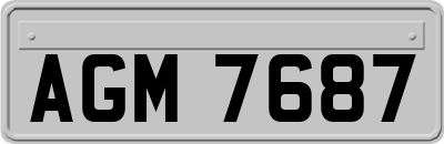 AGM7687