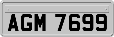 AGM7699