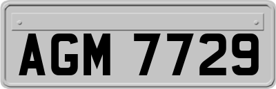 AGM7729