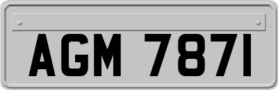 AGM7871