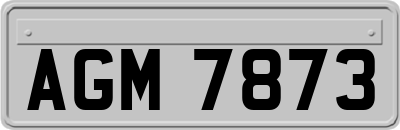 AGM7873