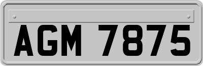 AGM7875