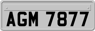AGM7877