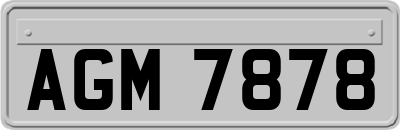 AGM7878