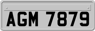 AGM7879