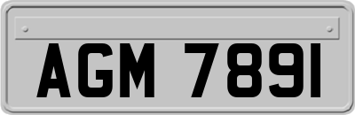 AGM7891
